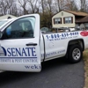 Senate Termite & Pest Control gallery