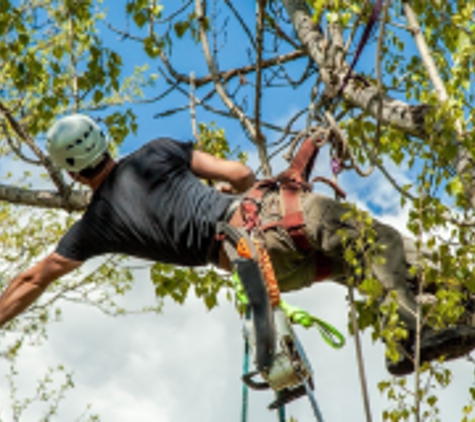 NWA Brothers Tree Service