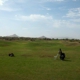 Legend Trail Golf Club