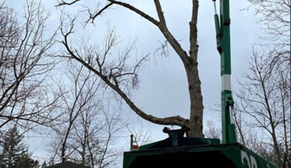 Dupage Tree Services - Elmhurst, IL