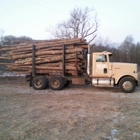 Hard Dollar Logging