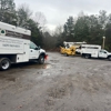 Jason Pilla Tree Specialist gallery