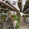 Bultema's Farmstand & Greenhouse gallery