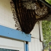 Critter Control gallery