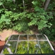 Aqua Cleaning