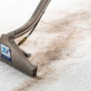 Zerorez Carpet Cleaning - Carpet & Rug Cleaners