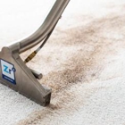 Zerorez Carpet Cleaning