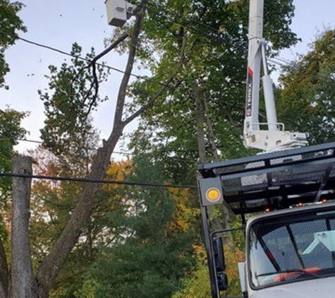 4 Seasons Tree Service - Newburgh, NY