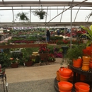 TLC Nursery & Greenhouses - Flowers, Plants & Trees-Silk, Dried, Etc.-Retail
