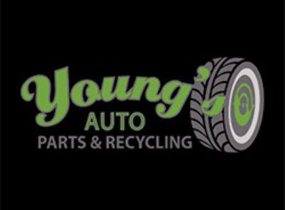 Young's Auto Parts & Recycling - Adrian, MI