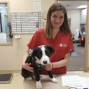 Meridian Veterinary Hospital - Veterinarian Emergency Services