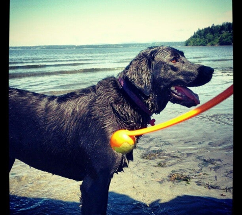 Dash Point State Park - Federal Way, WA