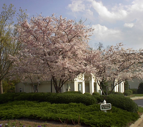 Summerfield Apartments - Charlotte, NC