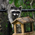 Cincinnati Wildlife Control
