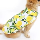 The Modern Dog Of NJ - Pet Stores