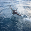 Tuna Wahoo Charter Fishing - Fishing Supplies