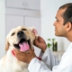 Banfield Pet Hospital