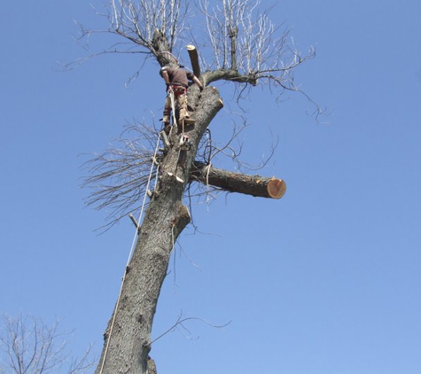 JNG Working Climber and Tree Services LLC - Ranson, WV