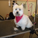 Groomin' Room - Pet Grooming