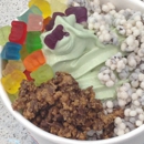 Catch The Wave The Ultimate Yogurt Experience - Ice Cream & Frozen Desserts