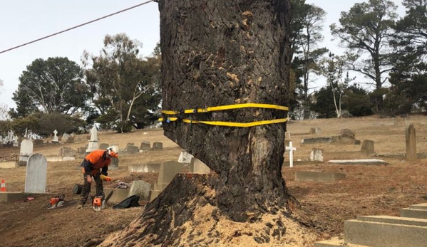 Snowy Mountains Tree Service Pty Limited - Cooma, NSW