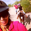 Arizona Riders - Horse Training