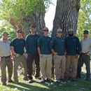 American Arborists - Tree Service
