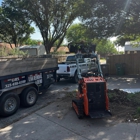 B-Line Services