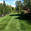 Area Delivery & Supply Yards - Firewood