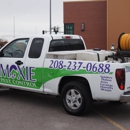 Moxie Pest Control - Pest Control Services