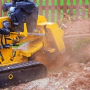 Redmond Tree Service Elite - Arborists
