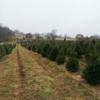 Lenhart's Tree Farm gallery