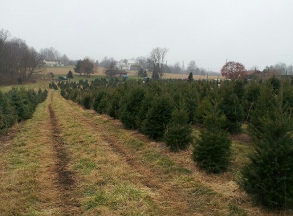 Lenhart's Tree Farm - Mertztown, PA