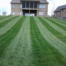 Williams Lawn Care - Landscaping & Lawn Services