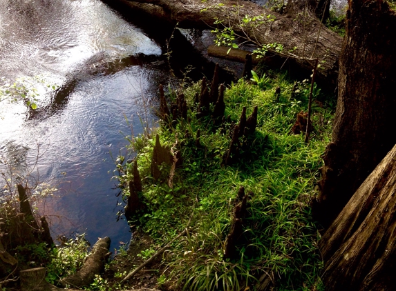 Hillsborough River State Park - Thonotosassa, FL