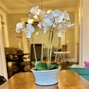 Blue Moon Estate Sales - Auctions