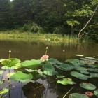 Lotus Lake Lodge