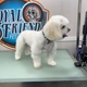 Loyal Friend Pet Grooming