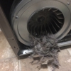 Nocatee Dryer Vent Cleaning gallery