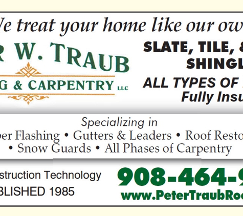 Peter W. Traub Roofing & Carpentry LLC - Berkeley Heights, NJ