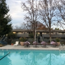 Madrone Apartments - Apartments