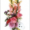 Colonial Florist - Flowers, Plants & Trees-Silk, Dried, Etc.-Retail