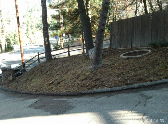 Forest Yard Work - crestline, CA