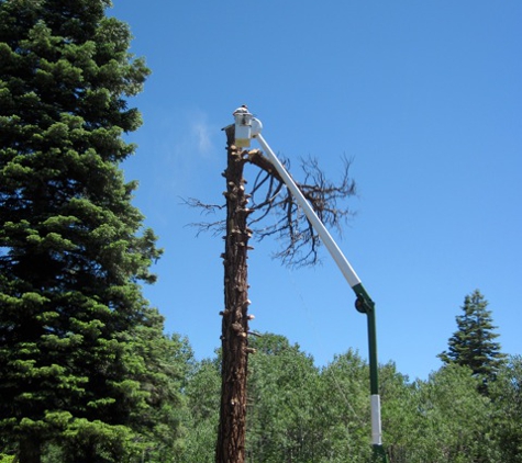 Woodchuck Tree Service, LLC - Durango, CO