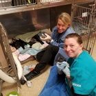 Raynham Veterinary Hospital, Inc.