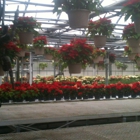 Mitchells Greenhouse