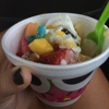 Sweet Frog Yogurt gallery