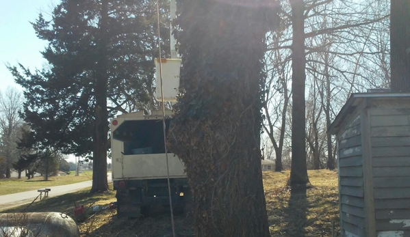 R W Tree Service - Marshall, MO