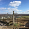 Hemlock Hill Farm gallery