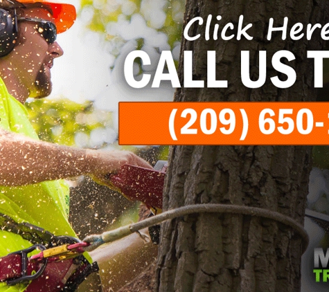 Modesto Tree Services - Modesto, CA